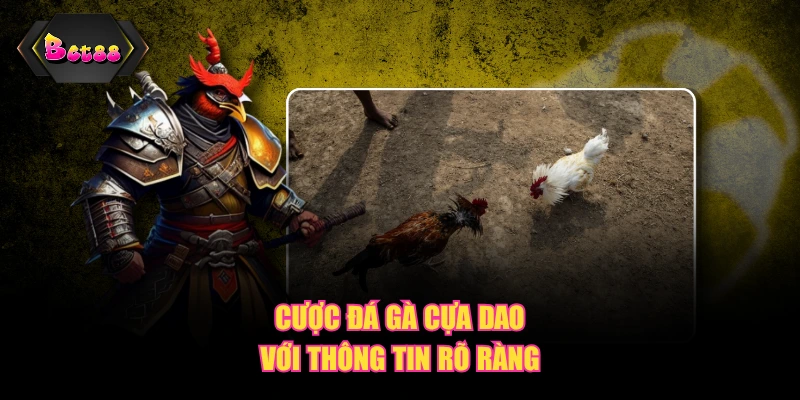 Cược đá gà cựa dao với thông tin rõ ràng