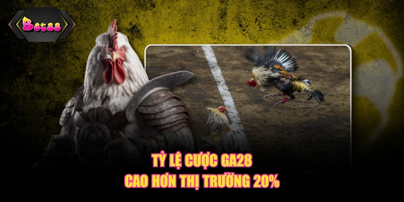 Tỷ lệ cược GA28 cao hơn thị trường 20%