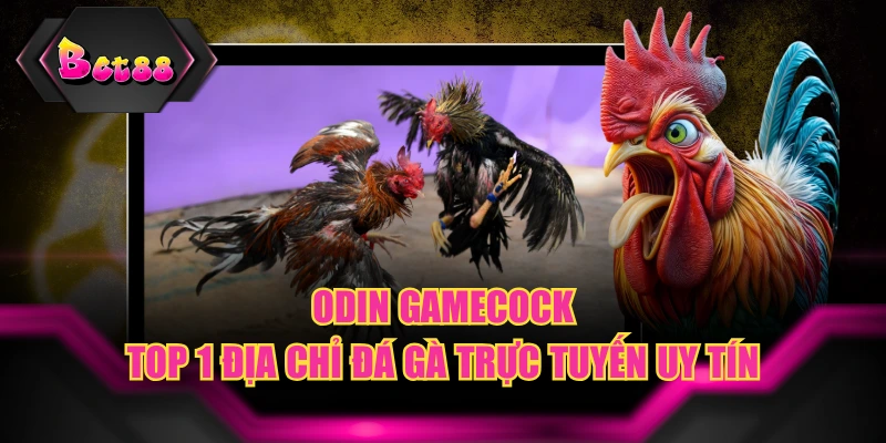 Odin Gamecock