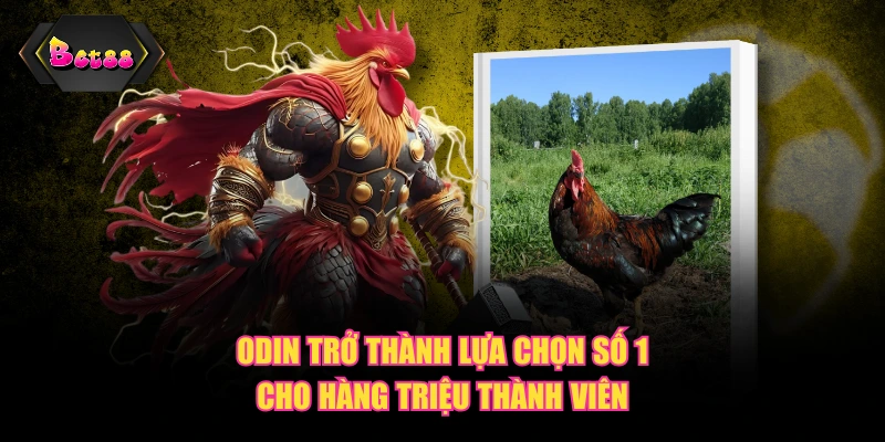 Odin trở thành lựa chọn số 1 cho hàng triệu thành viên
